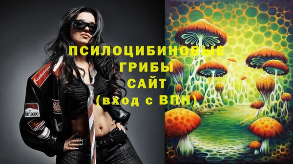 прущая мука Гусев