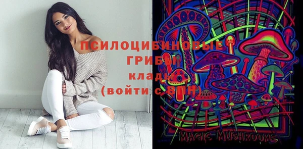 первитин Дмитриев