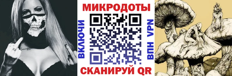 Купить  Гороховец  Псилоцибиновые грибы Psilocybine cubensis 